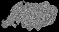 Download the full-sized image of Penedo do Muro 2 Enhanced Visualization Grey [dataset]